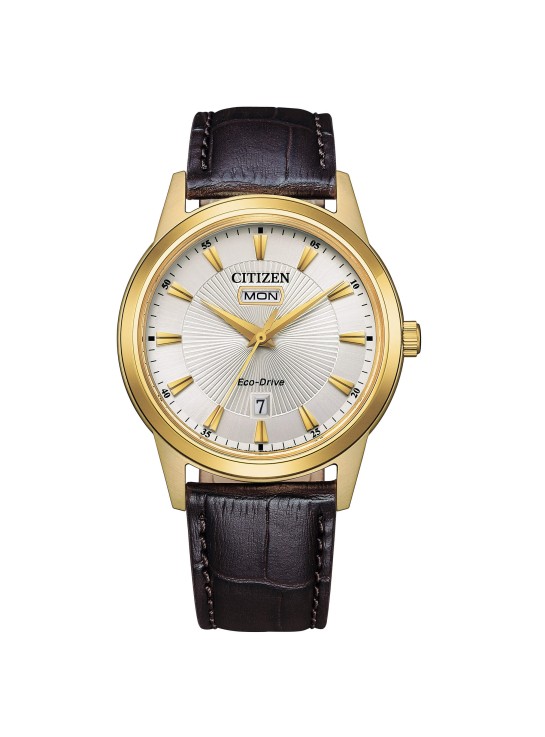 Citizen OF Collection AW0102-13A